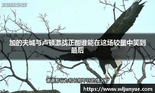 加的夫城与卢顿激战正酣谁能在这场较量中笑到最后