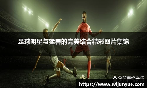 足球明星与猛兽的完美结合精彩图片集锦